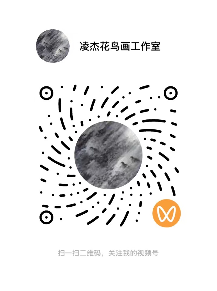 微信视频号二维码